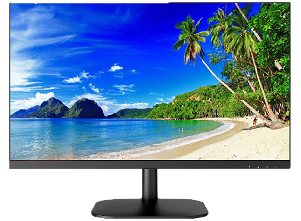 Monitor P24F